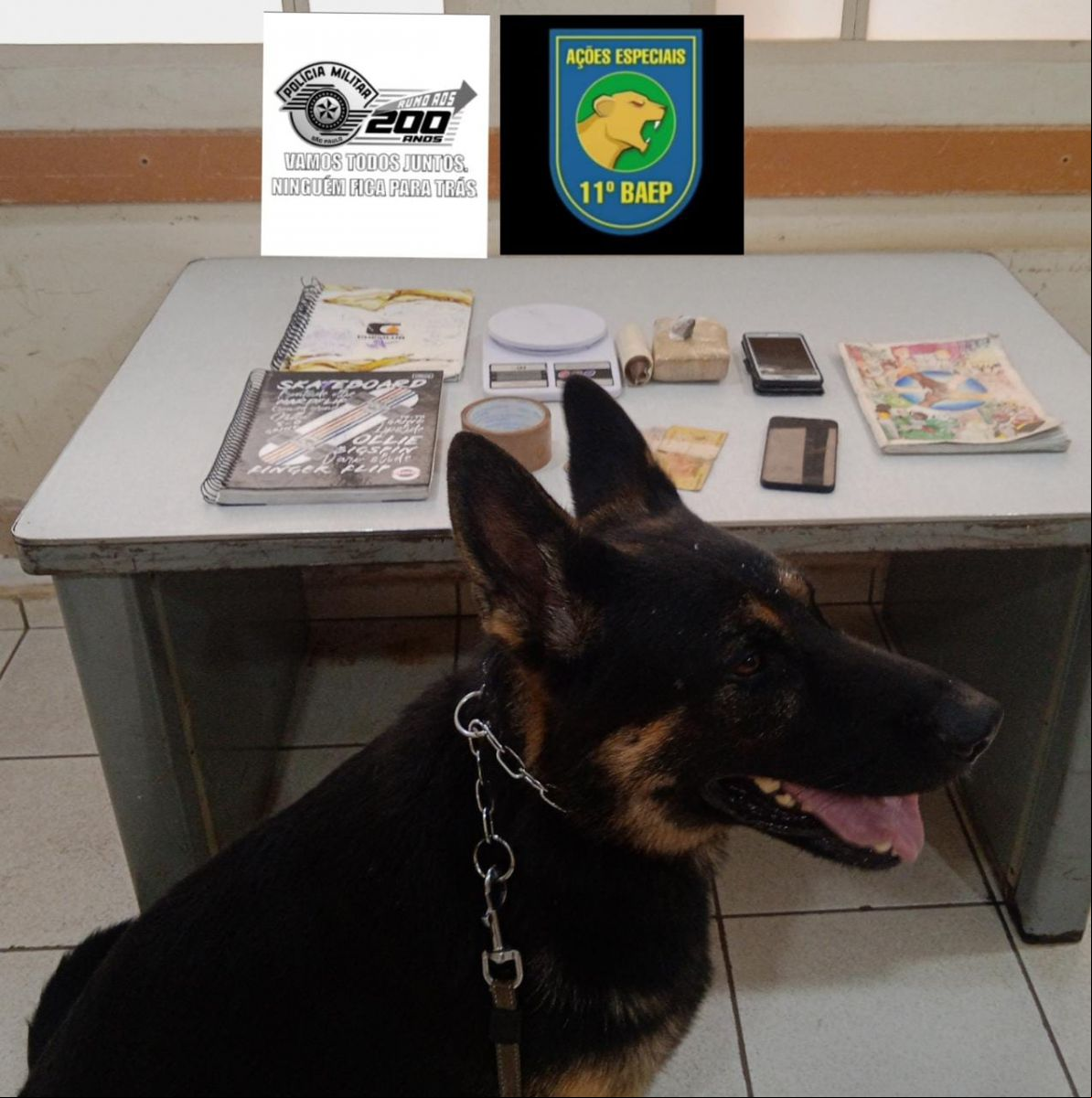 Drogas apreendidas pelo BAEP com apoio do cão K9 ASLAN 