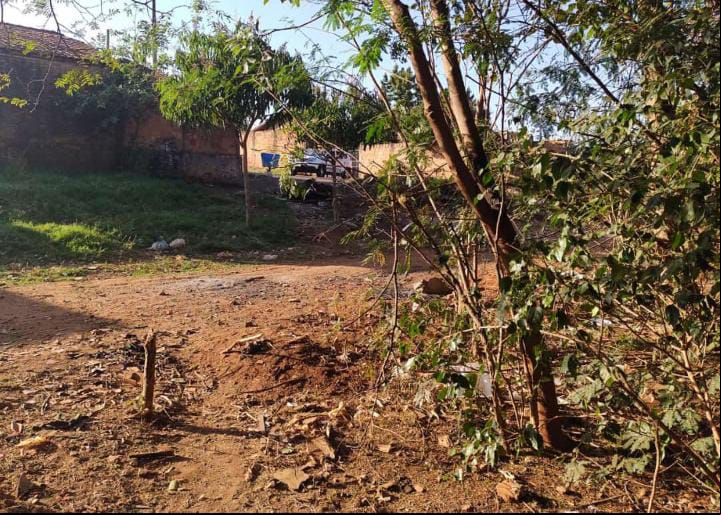 Foto: ponto de tráfico "Pico da Mata"/ Flavio Fernandes Araraquara Agora