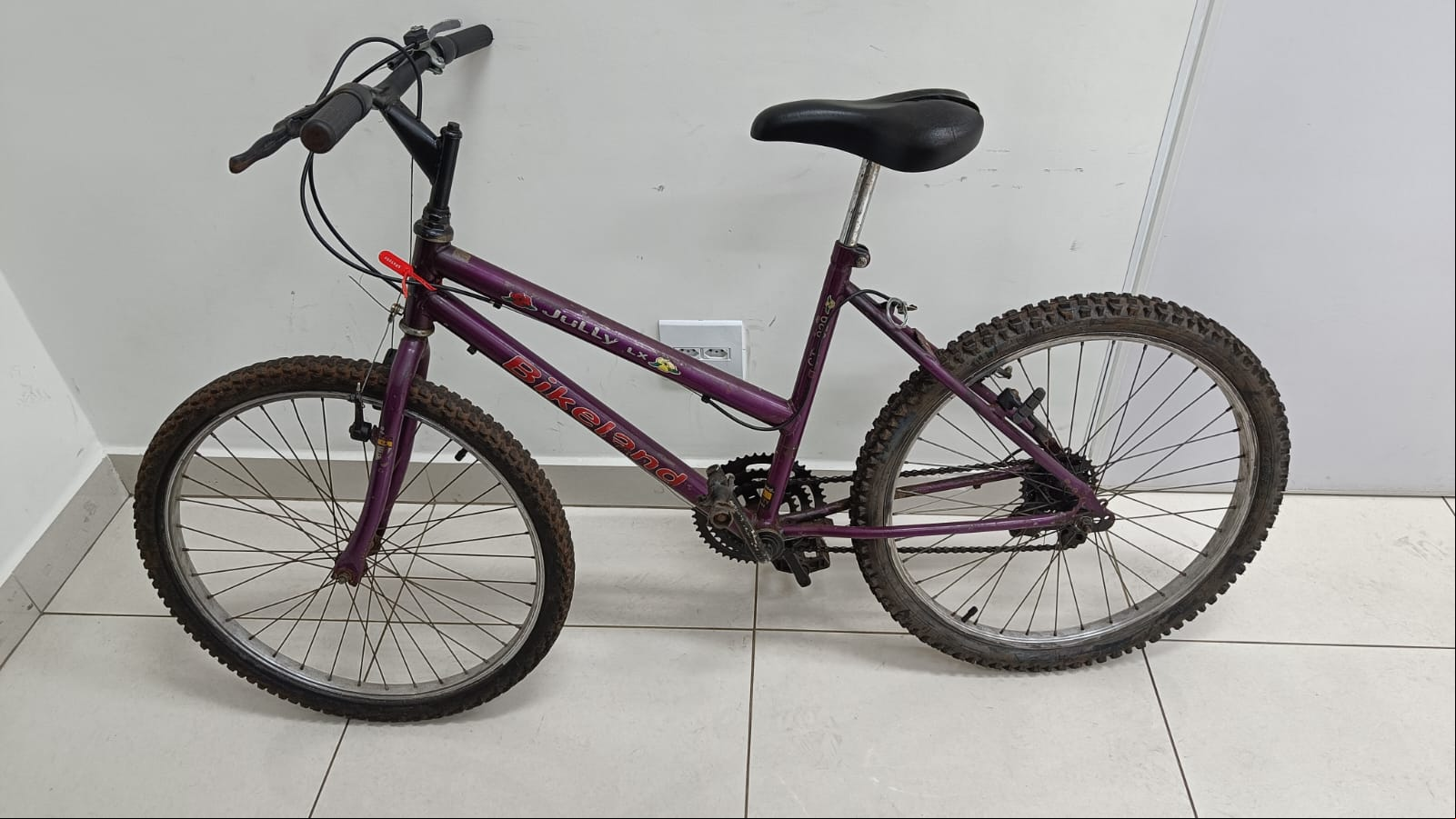 Bicicleta recuperada  