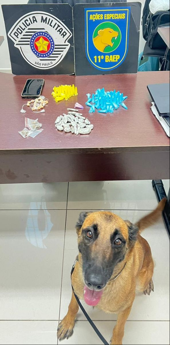 Drogas apreendidas/K9 Kira  